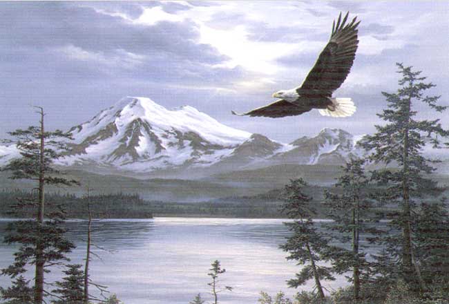 (image for) Handmade oil painting Copy paintings of famous artists Fred Buchwitz's Majestic Flight